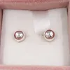 Authentiek 100% 925 Sterling Silver Pandora Stud Oorbellen met Clear CZ past Europese