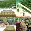 100/50pcs Garden Art Rockwool Sheet Block Propagation Cloning Seed Raising Soilless Cultivation Hydroponic Rock Wool Cubes 210615