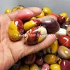 Mookaite Australian Jasper Tumbled Natural Crystal Stones Crafts Polished Multicolor Healing Power Gemstone Mineral Specimens Rock Collection Oregular 20-35mm