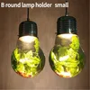 Nordic Coffee Shop Fat Fat Plant Grow Light Big BulB LED Spotlight Jadalnia salon Pastoral Ball Green Rośliny żyrandol