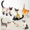 Fattoria in miniatura Figurine di gatti realistici Giocattoli Modello animale educativo Figure di gatti Set di giocattoli Decorazione e bomboniere