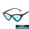 Sexiga Damer Märke Designer Solglasögon Dam Lyx Plast Solglasögon Dam Klassisk Retro Cat Eye Outdoor Oculos De Sol Fabrikspris expert design Kvalitet