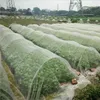 Andere Garten liefert Pflanzen Pflegeabdeckung Netto Insektenvogel Schädlingsbekämpfung Gemüse Obst Blumen Schutz Anti-Vogel Mesh Netting Greenhouse