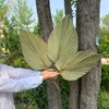 1pc Fiore essiccato Naturale Pu Fan Leaf Per DIY Home Shop Display Decorazione Materiali Conservati Foglie Palma Per Wedding Decor 1186 V2