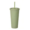 DHL 22OZ TUMBLERS Matte Colored Acrylic Tumbler with Lids and Straws Double Wall Plastic Reusable Cup FY4489