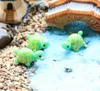 Leuke Mini Schildpadden Landschap Ornamenten Hars Tuin Decorations Fairy Gardens Miniaturen Bonsai Poppenhuis Decoratie Harsen Craft SN3362