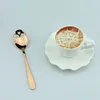 Roestvrijstalen schedel koffie lepel thee scoops Duurzaam Dessertijs Candy Sugar Scoop Home Keuken Bar Party Cafe Gift JY0289