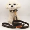 Echtleder-Halsband-Leine-Set, hochwertiges Design, 7-Farben-Muster, kleiner und mittelgroßer Hund, Teddy, Chihuahua, französische Bulldogge, Heimtierbedarf