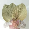 Natural Plant Palm Leaves Home Room Decor DIY Dried Flower For Party Art Wall Hanging Wedding Window Decoration Arch Arrangement 211108