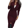 TAOVK Women's Dress Long Sleeve Bodycon Zippers Vintage Stand Collar Office women's Dresses 210401