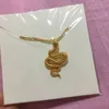 Designer Ketting Luxe Sieraden Charm Goth Snake Animal Hanger voor Dames Stainer Steel Gold Chain Boho Bijoux Party Gift