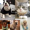 Hundhalsar kopplar guldkedja modehalsband för husdjur teddy fransk mobbning liten och medelhög hund