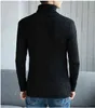 Turtleeneck свитер мужская шерстяная пуловер мужских свитеров на полоску черепаха шеи мужской швейцольный джемпер повседневная термальная высокое качество лося 211102