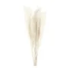 Couronnes De Fleurs Décoratives 15pcs / bundle Bulrush Plantes Artificielles Séchées Naturelles Branche Herbe De Pampa Phragmites Faux Fleur De Mariage Maison De