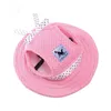 Maille Respirant Pet Chapeaux Cap Bow Design Animaux Top Hat Chien Vêtements D'été Voyage Sunhat Chiens Fournitures