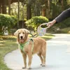 Collares para perros Correas Hoomall Nylon Extensión Cachorro Caminar Correr Lleva 5m Correa para mascotas Cinta retráctil automática para S-M