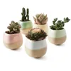 5 in Set 2.2 Inch Container Planter Ceramic Flowing Glaze Five Color Base Serial Set Succulent Plant Pot Cactus Flower Pot Gift 210922