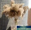 Torkad Pampas Grass Decor Wedding Flower Bunch Natural Växter För Hem Juldekorationer Present Torka Blomma Fabrikspris Expert Design Kvalitet Senaste Style