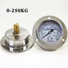 YN-60ZT axial band edge shockproof pressure gauge oil pressure gauge hydraulic gauge shock resistance 0-400KG