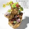 Apple Garden Imitation Wood Multimeat Flower Pot Creative Meat Plant Flower Pot T2001043341795