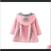 Vêtements d'extérieur bébé enfants maternité goutte livraison 2021 hiver printemps bébé filles à manches longues manteau veste lapin oreille à capuche vêtements d'extérieur décontractés V