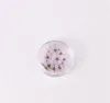 Fleur de fleur de prune narcisse séchée avec boîte pour la résine époxy fabrication de nail art artisanat accessoires 1274 v2
