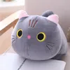 Peluş Bebek Sevimli Kedi 25/35 / 50 cm Sfutted Oyuncak Karikatür Hayvan Çocuk Uyku Yumuşak Yastık Kanepe Yastık Kız Doğum Günü Hediyesi