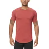 Men's T-Shirts Brand Mesh Casual Mens Short Sleeve Fashion Shirts Clothing Running Training Fitness Tights Sport Gym Sports Quick Dry Tshirt