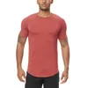 T-shirts van heren Merk Mesh Casual Mens Korte Mouw Mode Shirts Kleding Lopende Training Fitness Panty Sport Gym Sports Snel Droge T-shirt