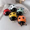 accessoires ladybug