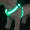 Pettorina per cani a LED in nylon Corda di ricarica USB luminosa Sicurezza del prodotto Collare notturno lampeggiante per accessori per animali domestici collari Guinzagli