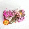 Neue 1 Box Echte Getrocknete Blumen Trockene Pflanzen Für Aromatherapie Kerze Harz Anhänger Halskette Schmuck Machen Handwerk DIY Zubehör EWD5785