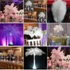 100 pcs branco artesanato penas diy decoração natural avestruz penas pluma jóias fazendo festa de casamento decoração de plumas de Natal 40-45 cm