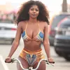 Yeni Afrika Baskı İki Adet Banyo Takım Elbise Bikini Set Seksi Geometrik Mayo Mayo Altın Yüksek Bel Yüzme Takım 210407