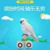 Inne zaopatrzenie ptaków Parrot Toy Mini Kullarz Inteligencja Trening Naturalne drewniane łyżwy akcesoria dla zwierząt interaktywne zabawki rozrywka leisur