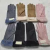 Мода перчатки дамы осень зимний сенсорный экран с плюшевыми и утолщенными теплыми перчатками