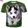 T-shirts Djur Husky 3D 3D-tryck T-tröja Harajuku djur T-shirts Män Kvinnor Sommar Fashion Casual Hip Hop Streetwear Topps