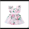 Kleider Kleidung Baby, Kinder Umstandsbaby Mädchen Blumenkleid mit Schmetterlingsärmeln Kleid Baby Süßes Sommerkleid Outfit Sonnenanzug Kleidungsset 0 bis 24 Monate D