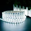 Strip AC220V LED-verlichting Multi Color SMD-chip Flexibele 60 LED's / M Outdoor Indoor Tuin Waterdichte Speeltuin Decor Ur Strips