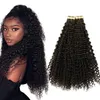 Afro Kinky Curly Tape dans les extensions de cheveux humains 100% trame de peau Remy 40 pièces par paquet pour salon couleur naturelle peut être teint