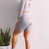 Seamless Sport Set Women Blue Two Piece 2PCS Long Sleeve Crop Top T-Shirt Booty Shorts Workout Outfit Fitness Gym Wear Yoga 210813