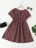 Girls Ditsy Floral Embroidered Mesh Detail Dress SHE