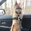 Obroże dla psów Smycze Pet Supplies Samochodowy Pas Seat Belt Smycz Pojazd Regulowany Amortyzacja Elastyczna Refleksyjna lina Bezpieczeństwa Dla Kotu