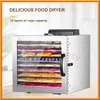 Food Dehydrator 110V/220V 10-Layer Household Food Dehydration Dryer Dried Fruit Machine Stainless Steel