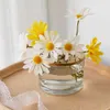 Nordic Simple Creative Home Flower Regeling Vaas Decoratieve Cup Decoratie Woonkamer Glas Plant Vazen Tafelblad Hydroponic 210409