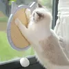 kedi çizik bezleri