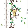 % Cartoon Animal Monkey Tree Branch Home Dacor Muursticker Baby Kind Hoogte Maatregel Groei Grafiek voor Kinderkamer Nursery Decals 210420