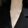 Роскошные титановые стальные ожерелья для женщин для женщин Не исчезающие матовое золото серебряные цветные цепные колье ожерелье мода ювелирные изделия