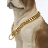 Golden Pet Chain Collar Leash 10mm Stainless Steel Cat Dog Collar Corgi Bulldog Teddy Puppy Leashes