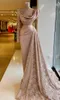Pink Evening Blush Dresses Sexig Sheer Lace Indian Style Långärm Hög hals Plus -storlek Dubai Kvinnor Formella promfestklänningar